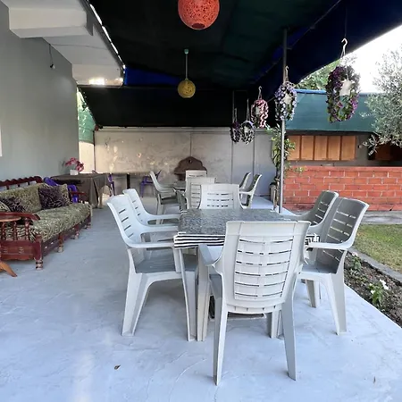 Sunny دراس